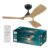 Philips Olas Ceiling Fan, 3 Blades, 24W LED Light, DC Motor, with Dimmable Function, Remote, 42