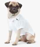 Polo Ralph Lauren Cotton Mesh Dog Polo Shirt, Blue Navy, White/Multi, Small
