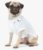 Polo Ralph Lauren Cotton Mesh Dog Polo Shirt, Blue Navy, White/Multi, Small