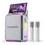 Portable Bluetooth Karaoke Speaker with 2 Wireless Mics, RGB Lights