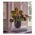 Prayer Plant in Ceramic Pot