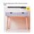 Premier Housewares Milo 2 Drawer Console Table