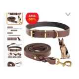 Premium Leather Dog Leash and Collar