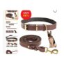 Premium Leather Dog Leash and Collar
