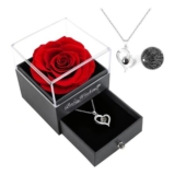 Preserved Rose Flowers with Necklace,