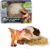 Primal Hatch Jurassic World Interactive Toy Dinosaur & Egg, Hatch & Train your own Baby Dino with 100 Sounds & Reactions, Kids Toys for Boys & Girls Aged 5 & Up