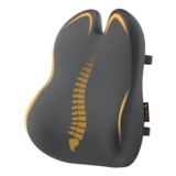 ProtoArc Lumbar Cushion: Memory Foam, Butterfly Design, Breathable Mesh Cover