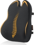 ProtoArc Lumbar Support Cushion – Memory Foam Back Support Cushion with Ergonomic Butterfly Design – Back Support for Office Chair, Car Seat, Double Adjustable Straps and Breathable Mesh Cover – Black