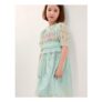 Puff Sleeve Floral Mesh Dress Blue