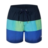 Quiksilver Mens Swim Shorts