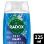 Radox Mineral Therapy Feel Awake 2-in-1 Shower Gel & Shampoo / Moisturised / Ready Shower Gel 225ml (81p with Student Discount) Free C&C