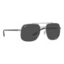Ray-Ban RB3699 Sunglasses