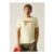 Regatta White Stone Wilderness Cline IX T-Shirt