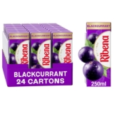 Riben Blackcurrant Juice Drink Cartons – Multipack 24x250ml – S&S £8.00