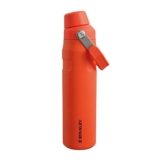STANLEY 1913 IceFlow Fast Flow Sports Bottle 0.6L – Plum