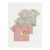Safari Applique T Shirts 3 Pack