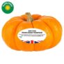 Sainsburys British Munchkin Pumpkin – Nectar Price