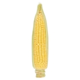 Sainsburys Sweetcorn Single Cob – Nectar Price