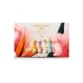 Sanctuary Spa Fragrance Discovery Body Wash Collection