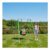Saucer Swing