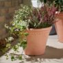 Scalloped Edge Smooth Fibre Clay Plant Pot 30cm – C&C Only
