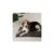 Scruffs Noodle Grey Pet Dry Mat-Medium
