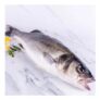 Sea Bass – Wild, Hook & Line Caught.