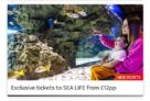 Sea Life Tickets from £12 per Person via Sky VIP Rewards App