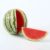 Seedless Watermelon – In Warehouse Only