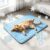 Self-Cooling Mat for Dogs and Cats, Thin Cooling Blanket Dog Summer Dog Mat Bed Cooling Blanket Non-Slip Cooling Pad Portable Washable Pet Cooling Mat for Home, Car, Travel (Blue, 50x40cm)