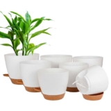 Self-watering plant pots