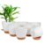 Self-watering plant pots