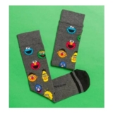 Sesame Street Characters Socks