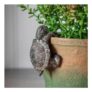 Set of 2 Timmy Tortoise Pot Hangers