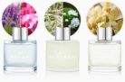 Set of 3 Fragrance Reed Diffusers,50ml Lavender Jasmine Freesia Aromatherapy Diffuser Set with 12 Black Fiber Sticks,Air Freshener for Bedroom Bathroom Office