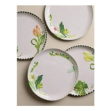 Set of 4 Floral Picnic Dinner Plates