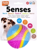 Sharples Beef Scented Five Senses Rubber Ball For Dogs – Medium