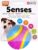 Sharples Beef Scented Five Senses Rubber Ball For Dogs – Medium