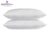 Slumberdown Anti-Allergy Pillows – 2 Pack