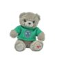 Slytherin Bear Keyring with Jumper