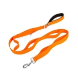 Small Dog Leash with Metal Clip, Orange, M