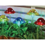 Solar Mushroom Stake Lights Pack of 10 – Free C&C