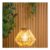 Solar Powered Natural Hanging Light