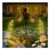 Solar Watering Can with Cascading Lights 2-Pack Mandala Garden Lights