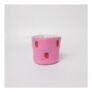 Strawberry Plant Pot / Storage Pot