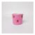 Strawberry Plant Pot / Storage Pot