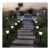 Streetwize Solar Stake Lights – 12-Pack