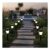 Streetwize Solar Stake Lights – 12-Pack