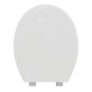 Swirl Toilet Seat Polypropylene White (1247G) (Free C&C)