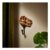 T-Rex Curtain Hook Pair